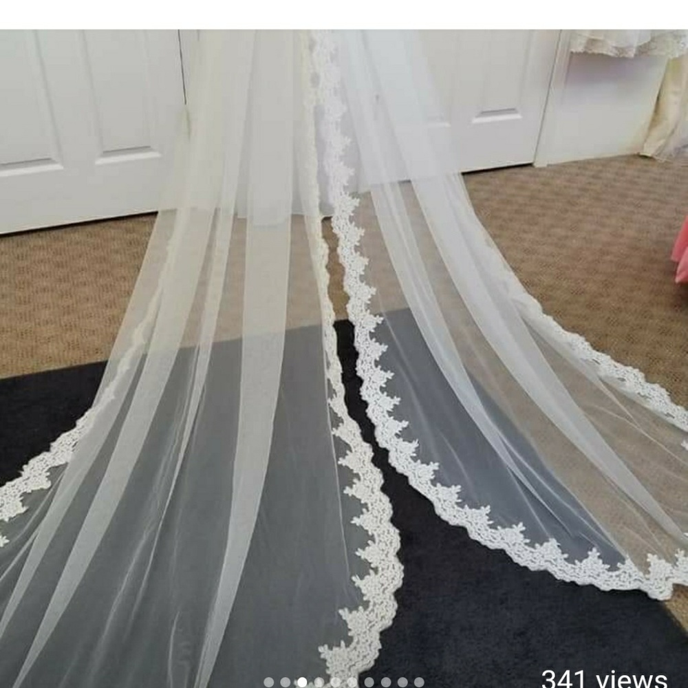 VEIL - Picture 3 of 4